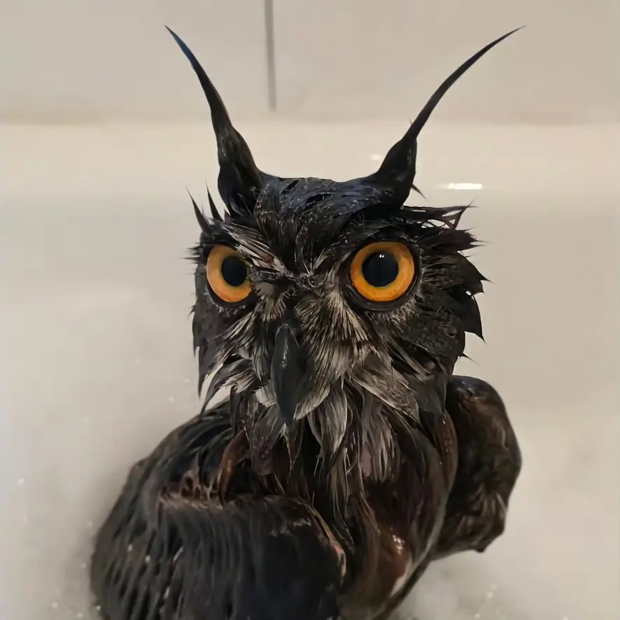 Another bathtub picture of Horst in sudsy water. His plumicorns are shaped like very tall devil horns, or filaments in a light bulb. His eyebrows are less pronounced, eyes wide and circular instead of angular half-moons.