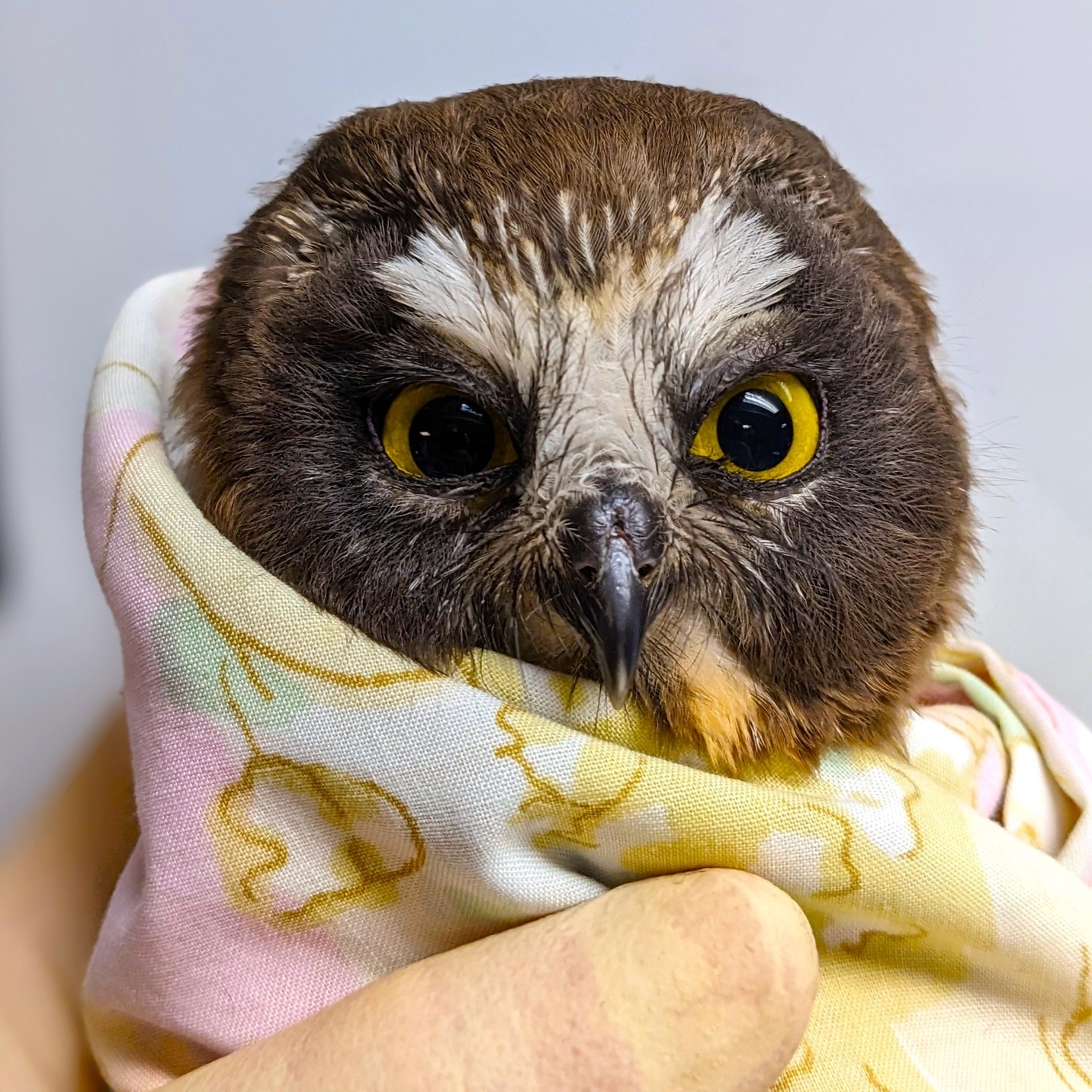 The “Spiciest Patient” So Far