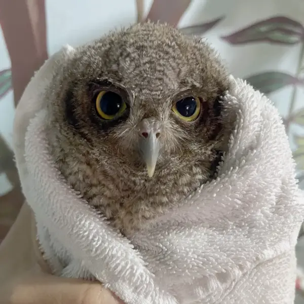 Long Recovery Ahead