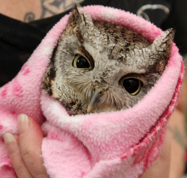 Cosy and rosy in a pink fleece