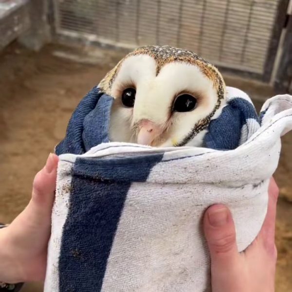 Duncan’s Monthly Check Up