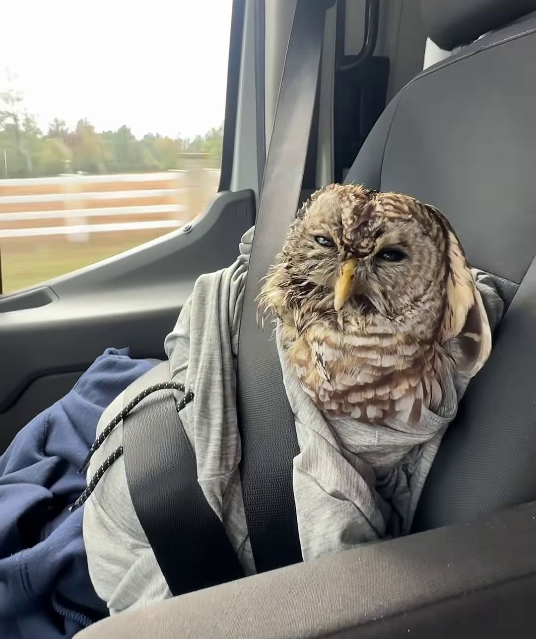 On the way to SPCA